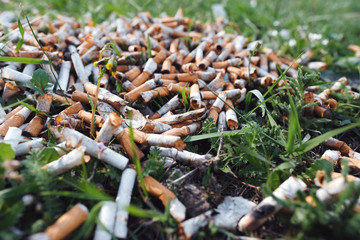 View of the pattern of scattered cigarette butts in the green grass on the meadow in the park of a...