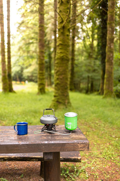 Rossacroo Wood (Millenium Forest), Kerry, Ireland: Making tea for breakfast on a rainy morning in the forest.
