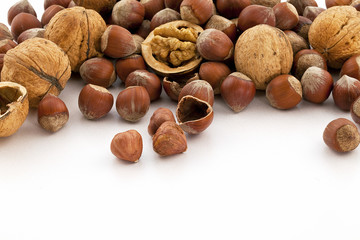 hazelnut and walnut isolated
