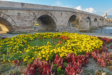 Obraz premium olorful flowers by Stone Bridge,Skopje,Macedonia.