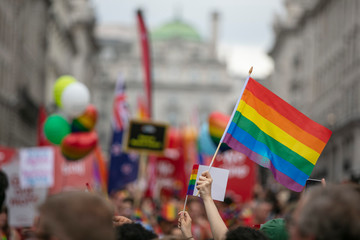 People wave LGBTQ gay pride rainbow flags at a pride event