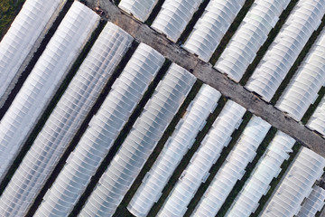 Aerial view of greenhouses lined up in a row, covered with a transparent film of growing vegetables and fruits. The texture of the roofs of greenhouses field background. Farming, bioproducts