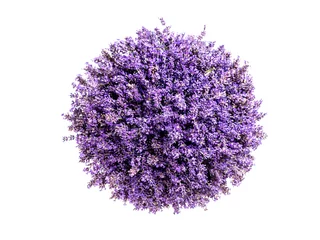 Muurstickers Lavendel Kleine planeet lavendel