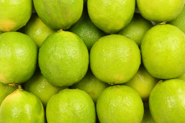 Many fresh limes on white background.