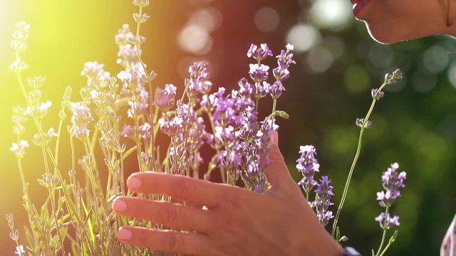 Woman smells lavender flowers on the lavender field in the rays of the setting sun.