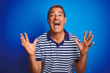 Naklejka premium Handsome middle age man wearing striped polo standing over isolated blue background crazy and mad shouting and yelling with aggressive expression and arms raised. Frustration concept.