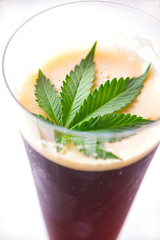 Detail of cold glass of beer with cannabis leaf isolated over white