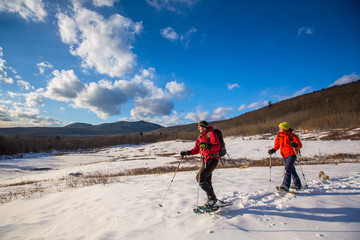 A woman and man snowshoeing in the newly-aquired 1,300 acre parcel of land at the south end of the Green Hills Preserve. The addition expanded the overall uninterrupted acreage of the preserve to 5,500 acres and as an important watershed and drainage basin for the Saco River is an important habitat for deer, black bear, moose, bobcat, fisher, brook trout, mink, beavers and  more. Portions of the acreage are undergoing revegetation and restoration of native plant species.