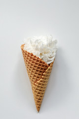 White peony flower in waffle horn on white background