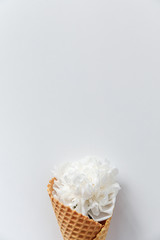 White peony flower in waffle horn on white background