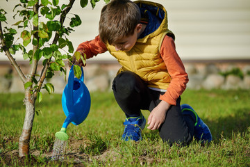  Hard-working boy in a yellow west and with blue watering-can is cultivating the tree in the garden. © Artem