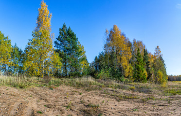 Fototapeta premium Beautiful autumn landscape on the site of a former sand quarry.