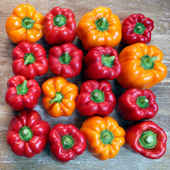 Sweet pepper
