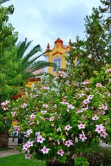 Fototapeta na wymiar lush garden in a House in Tavira