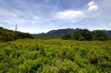 Senjogahara Marshland is an idyllic marshland with nice hiking trails in the Nikko region, JApan