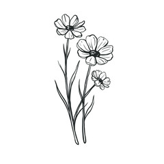 Wild flowers isolated on white background. Vector hand drawn sketch.