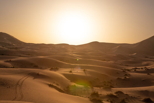 Shadow silhouette of walking camels in caravan reflecting on red sandy dune of desert, Morocco
