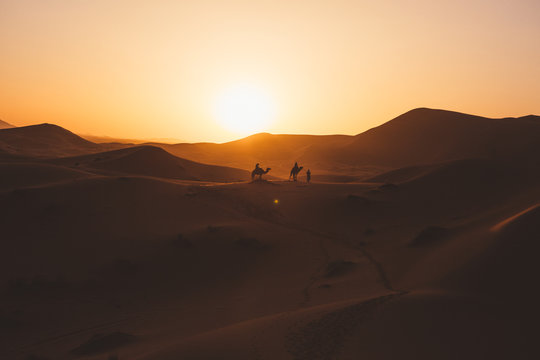 Minimalist view of camels silhouettes on sand dune in desert against sunset light, Morocco