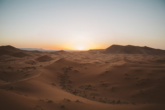 Minimalist view of camels on sand dune in desert against sunset light, Morocco