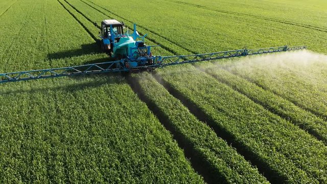 Aerial view of the tractor that irrigates the green field by special installation. The process of spraying field growths with pesticides and protection against insects of rodents, parasites and pests.