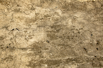 background is a stone texture. Beige old wall