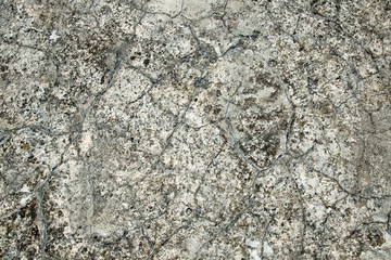 Gray texture of old stone. Close-up