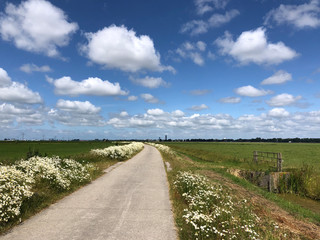 Fototapeta premium Road through farmland