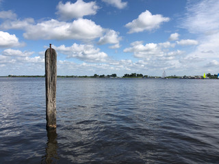 Pole in a lake