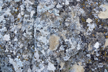 Cold stone with large cracks and scratches. Concept Design Background