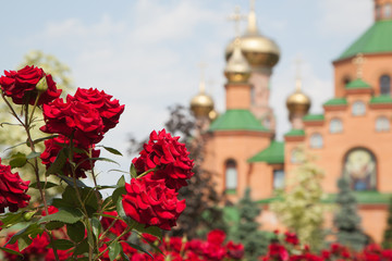 Fototapeta na wymiar Holosiivskyi mens monastery Ukraine Kiev. Sunny summer day. Religion Christianity Orthodox culture