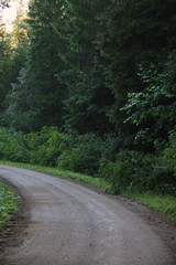 Fototapeta na wymiar Empty gravel road in the forest