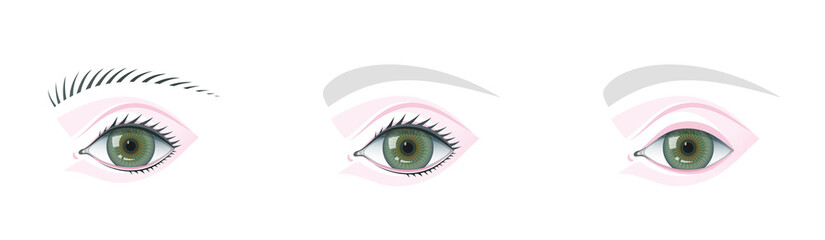 Eye and brow template for studying and teaching makeup technology.