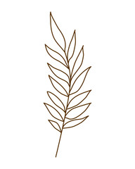 silhouette of branch with leaves on white background
