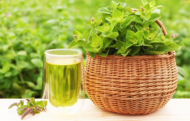 Fresh mint tea and bunch of mint on the table on natural background of fresh mint
