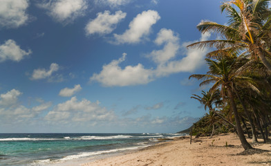 Sous le soleil de Guadeloupe