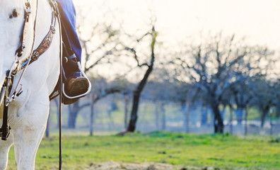 Western lifestyle shows boot in stirrup during horseback riding in field, room for copy space.