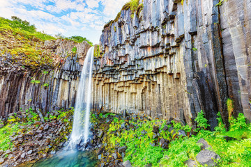 Iceland, waterfall Svartifoss, Skaftafell, Vatnajokull National Park, Europe. Amazing basalt column...