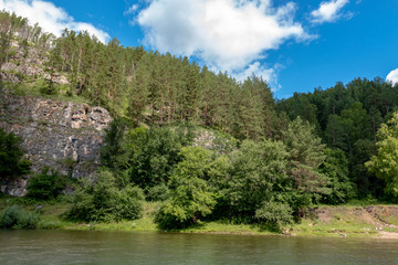 mountain river landscape flows on a summer day