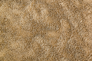 Texture of brown carpet, abstract background, carpet for the home.