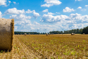 ein großes Feld mit vielen Strohballen, Erntezeit