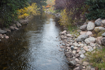 First snowfall in the river forest