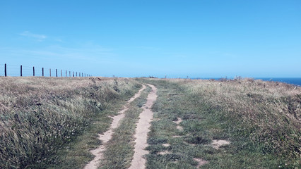 Fototapeta premium road in the field