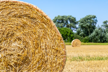 ein großes Feld mit vielen Strohballen, Erntezeit
