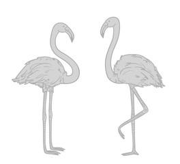 Flamingos. Cartoon birds. Image for polygraphy, t-shirts and textiles. Black and white illustration