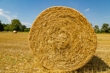 ein großes Feld mit vielen Strohballen, Erntezeit