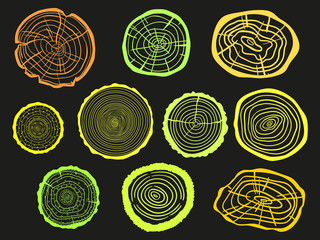 Colorful tree rings on black. Set of objects on isolation background. Print for polygraphy, posters, shirts and textiles