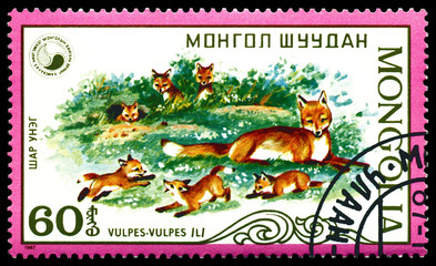 Vintage  postage stamp. Vulpes and  puppy of the fox.  (Red Fox).