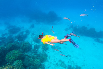 Woman snorkeling around corals in the Caribbean Ocean, in Cozumel Island, Mexico