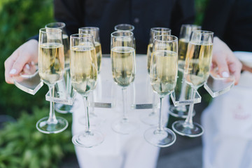 Catering banquet table at reception. Restaurant presentation, european cuisine, food consumption, party concept. Food styling, appetizers bar, welcome drink, event design.