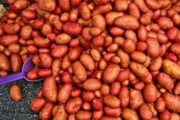 Potatoes in the market